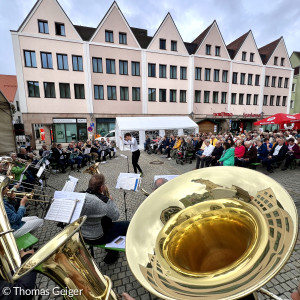 Rathaus spiegelt sich in der Tuba